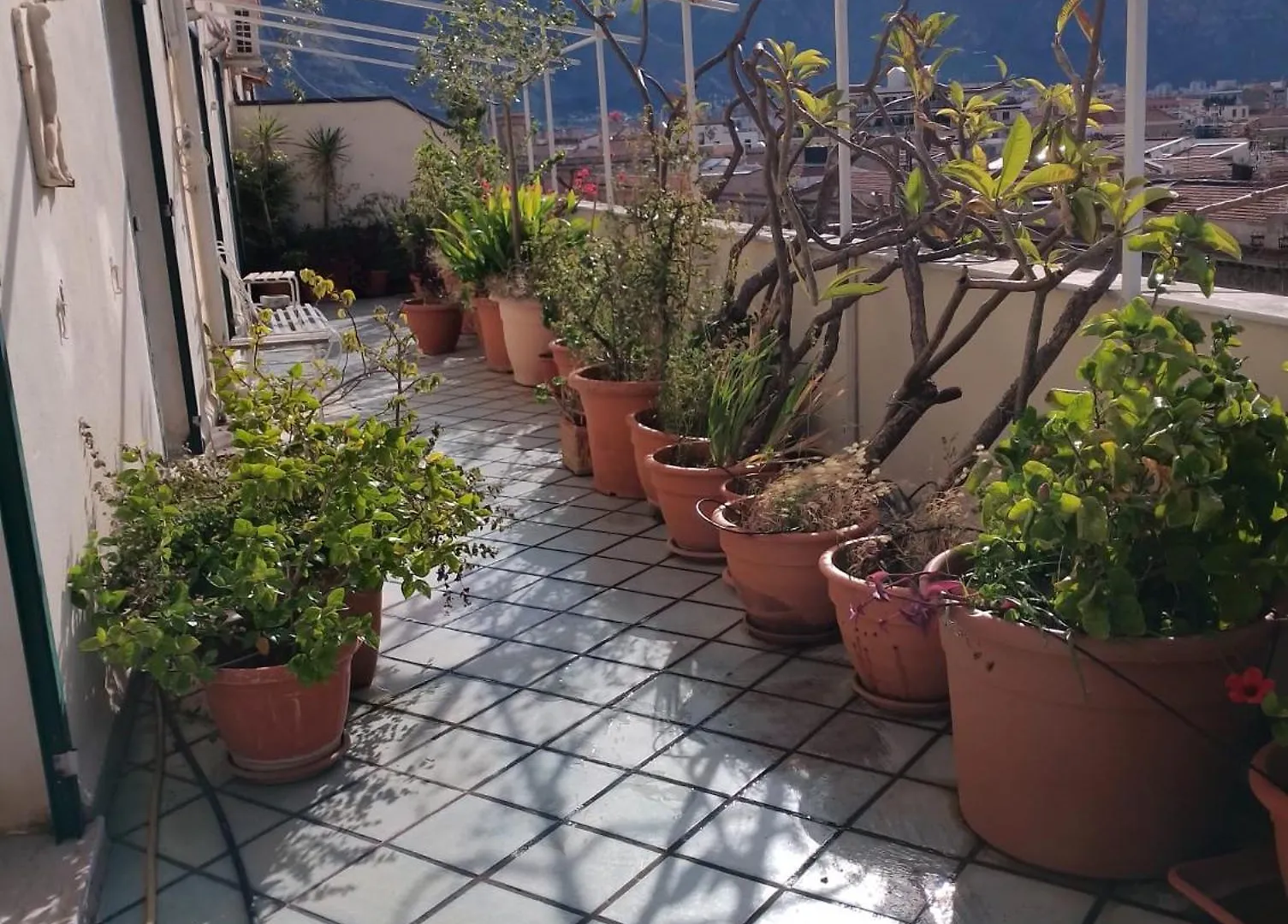 Alloggio in famiglia Appartamento Divisi Palermo