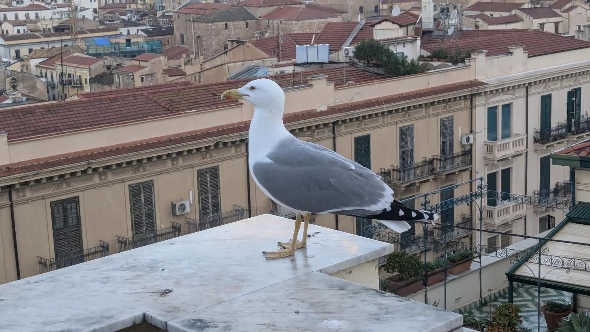 Appartamento Divisi Palermo Italia